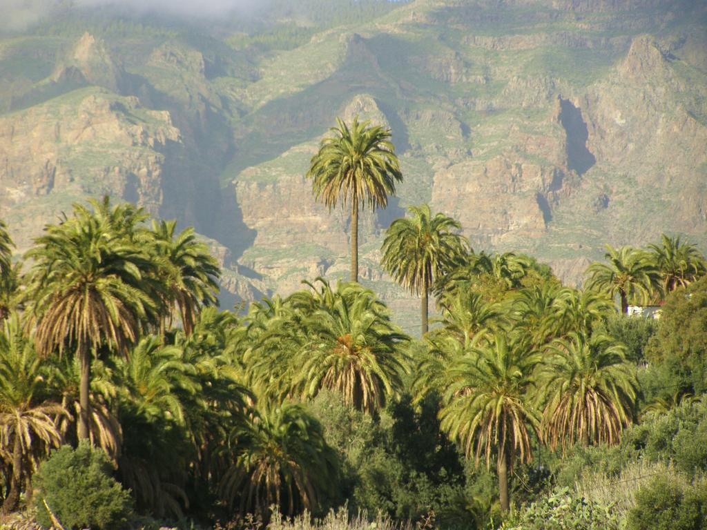 Santa Lucia Las Casas De La Rueda - El Patio מראה חיצוני תמונה